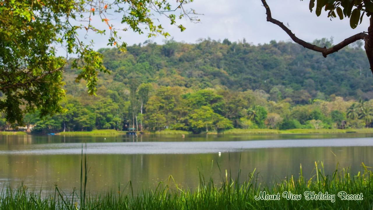 Mount View Holiday Resort Dambulla Exterior foto