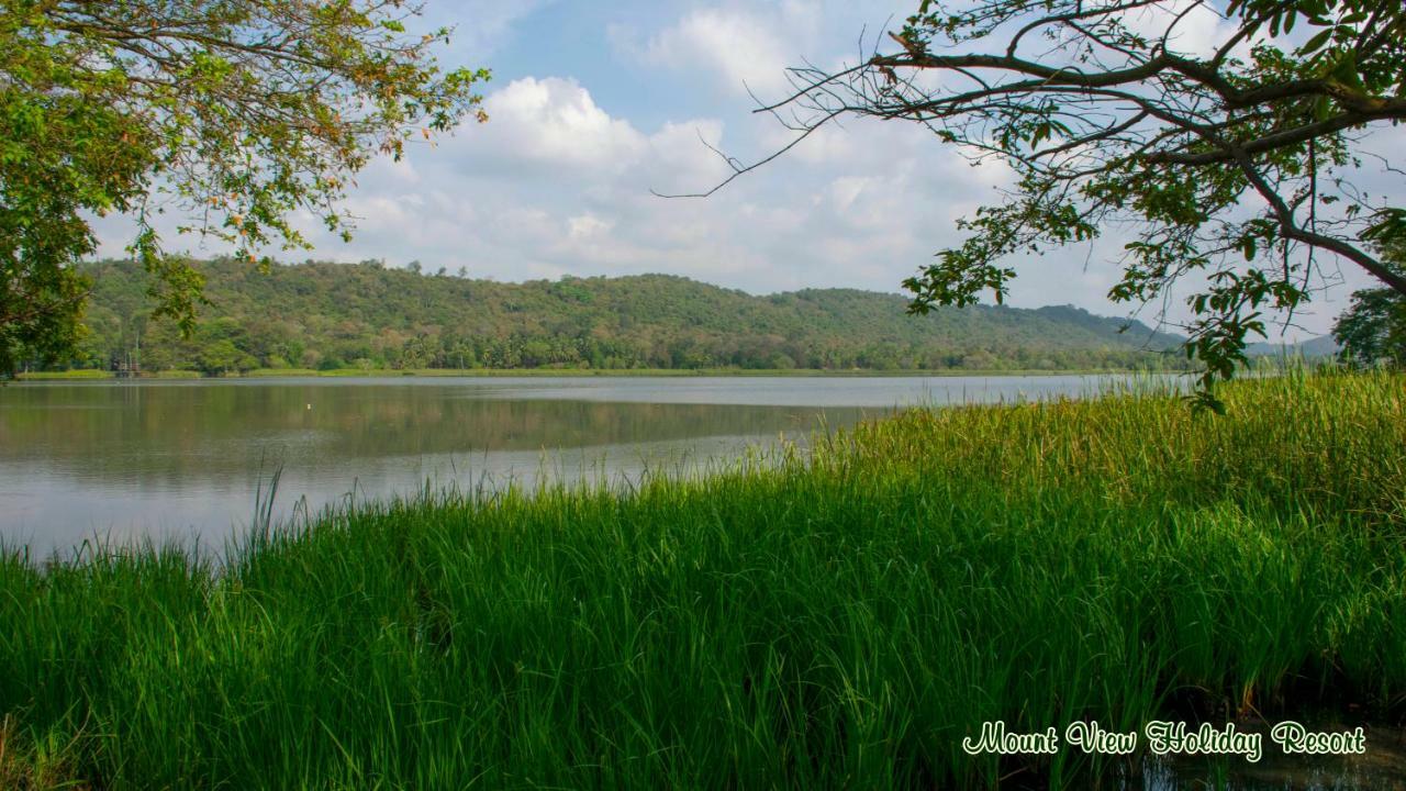 Mount View Holiday Resort Dambulla Exterior foto